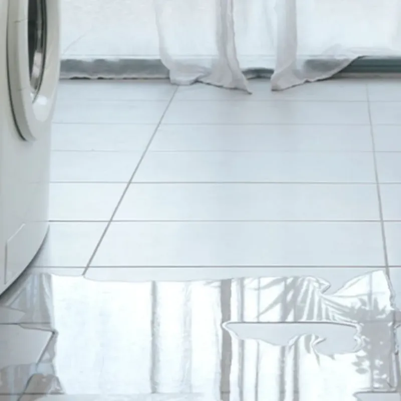 Appliance Leak Cleanup in North Baltimore, OH