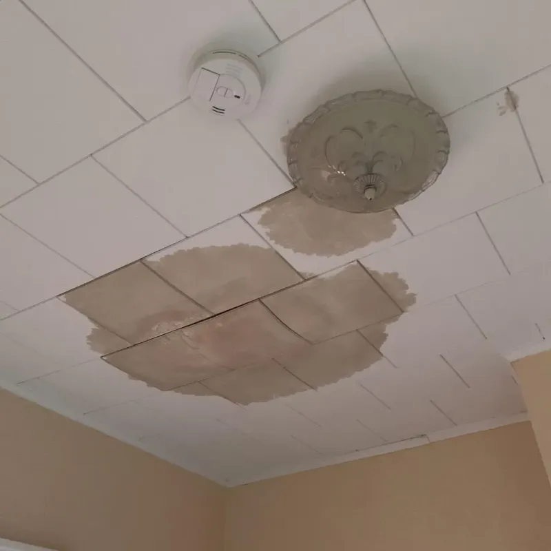 Ceiling Water Damage Repair in North Baltimore, OH