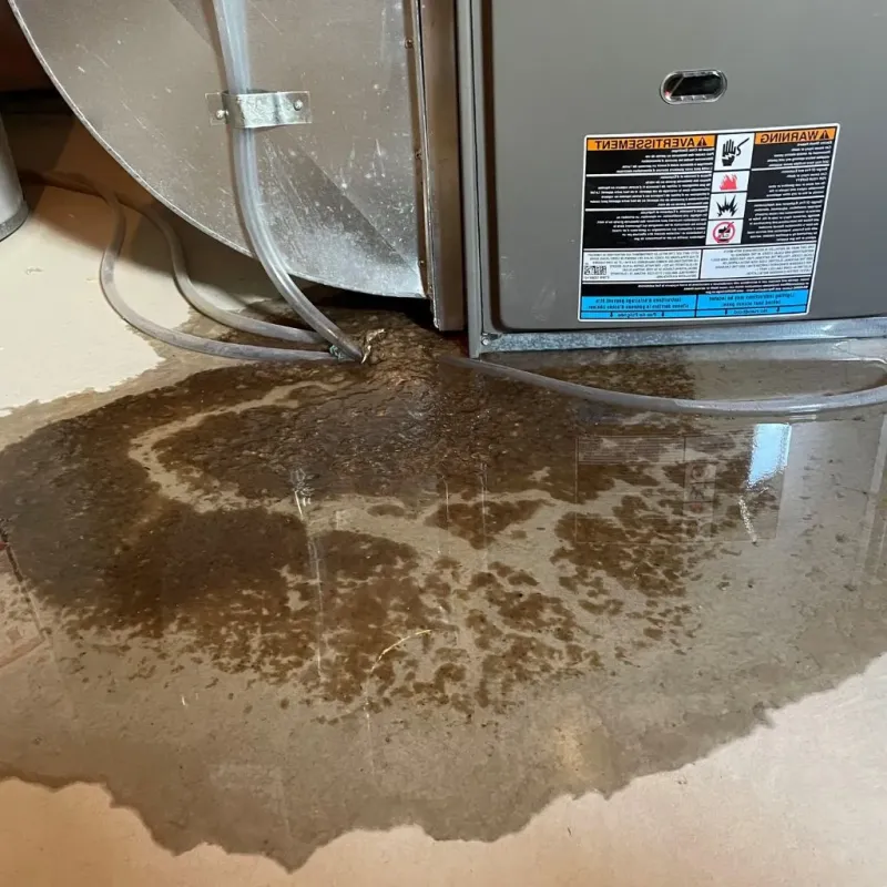 Pipe Burst and Leak Restoration in North Baltimore, OH