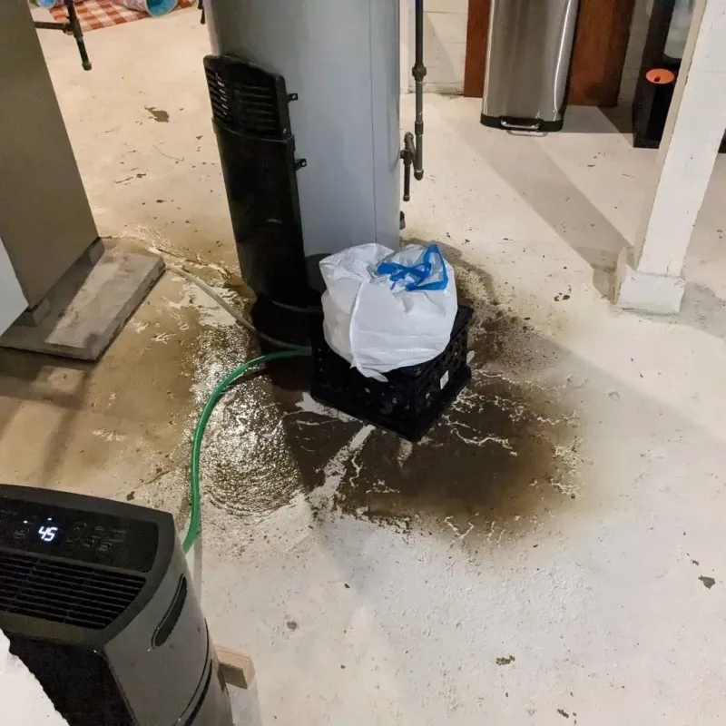 Sewage Backup Cleanup Service in North Baltimore, OH